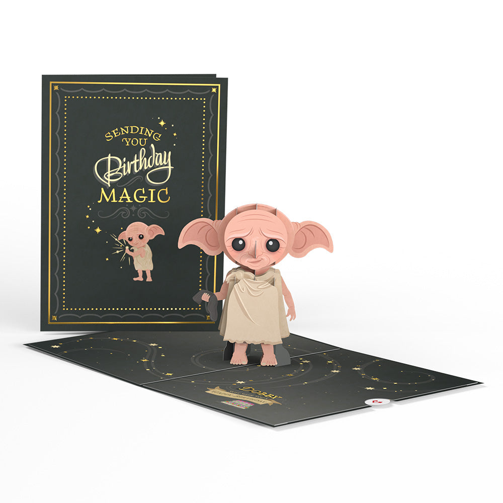 Harry Potter Dobby™ Birthday Pop-Up Card – Lovepop