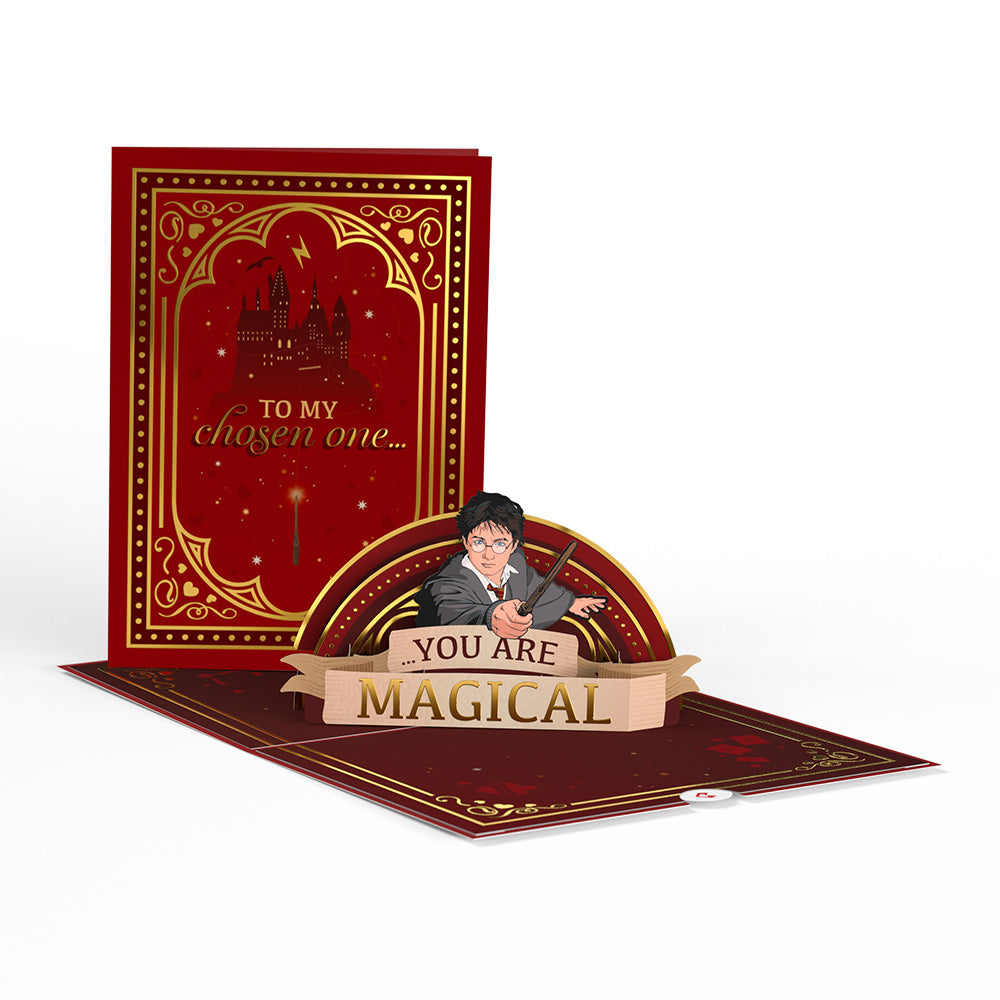 Harry Potter™ My Chosen One Pop-Up Card