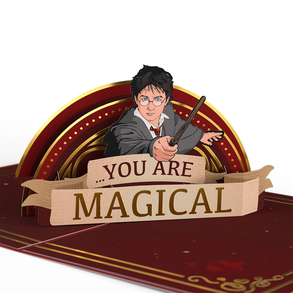 Harry Potter™ My Chosen One Pop-Up Card
