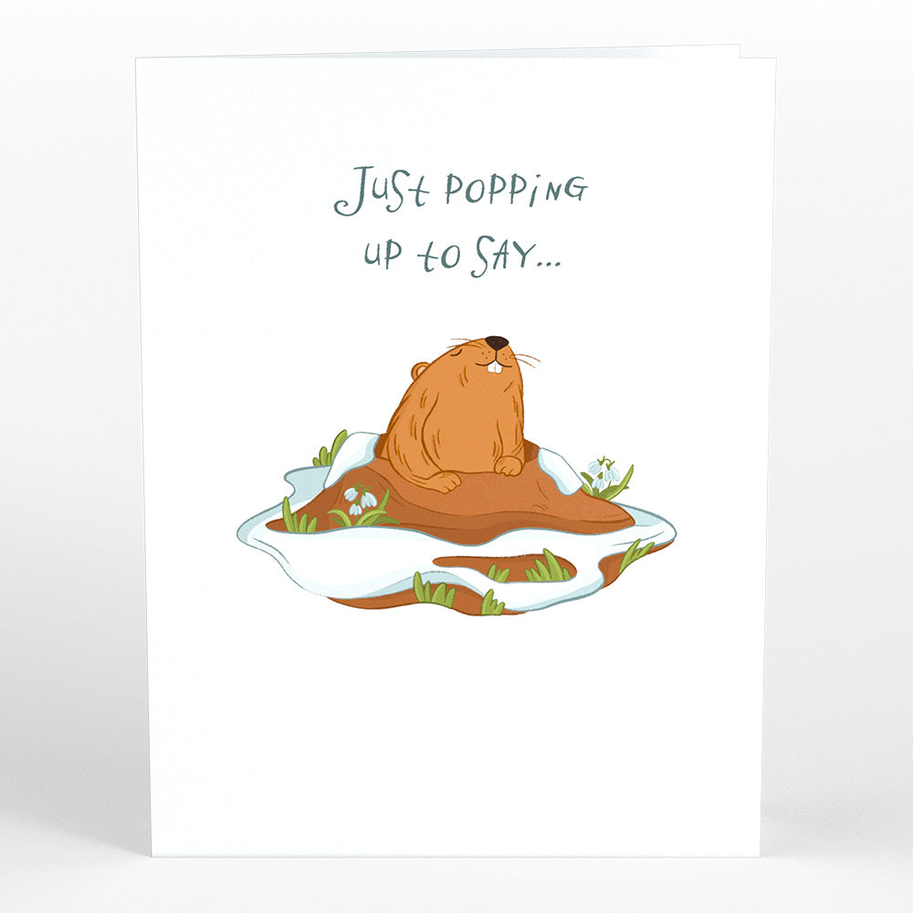 Happy Groundhog Day Card with Pop-Up Gift