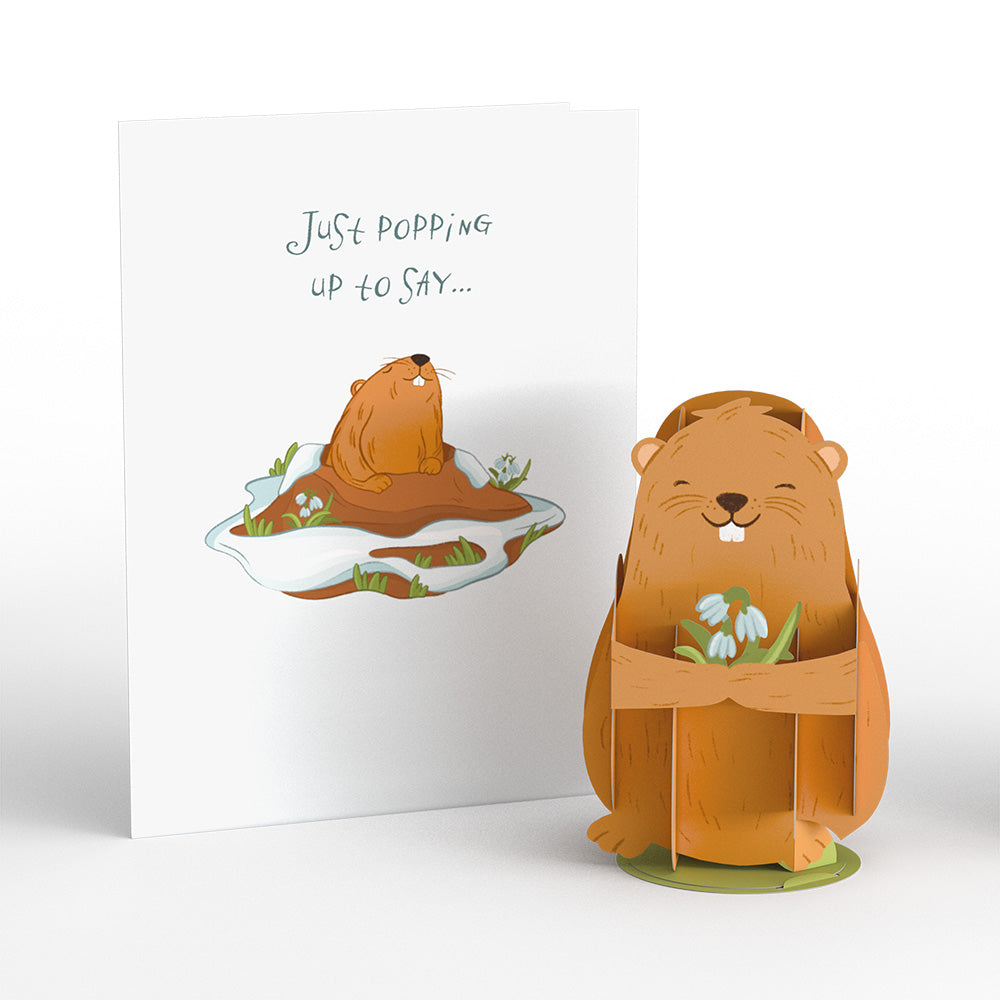 Happy Groundhog Day Card with Pop-Up Gift