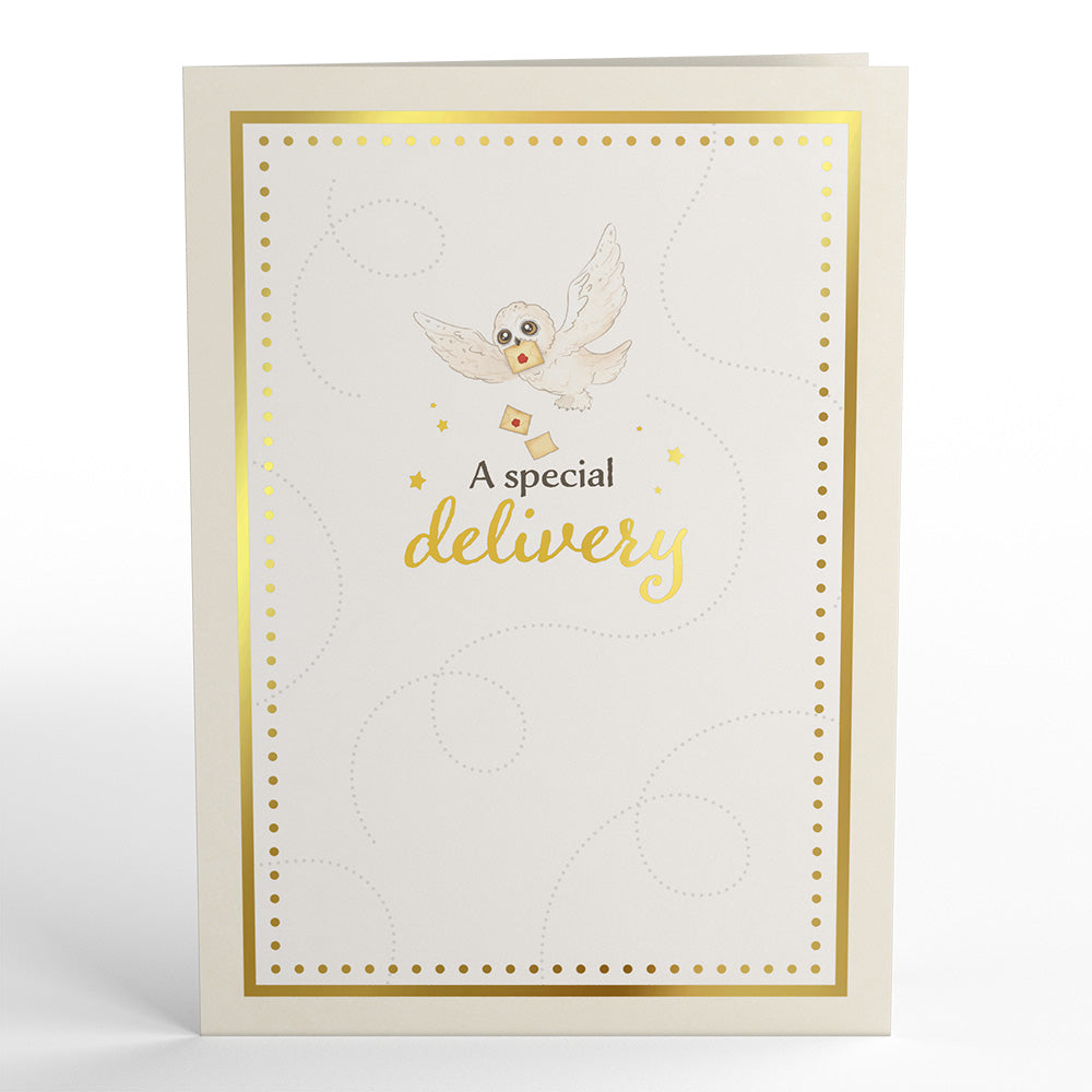 Harry Potter Special Delivery Baby Pop-Up Card