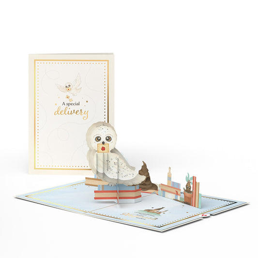 Harry Potter Special Delivery Baby Pop-Up Card