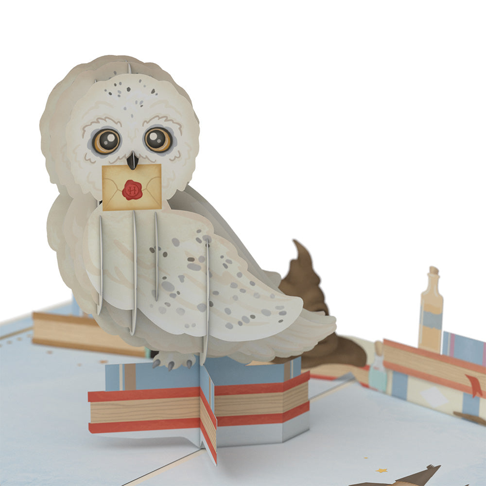 Harry Potter™ Special Delivery Baby Pop-Up Card