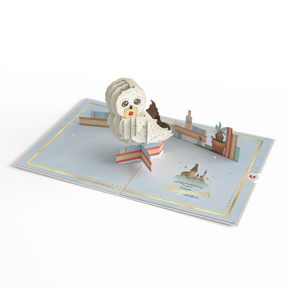 Harry Potter™ Special Delivery Baby Pop-Up Card
