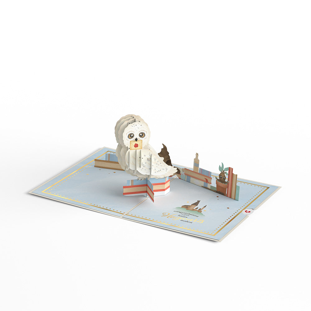 Harry Potter™ Special Delivery Baby Pop-Up Card