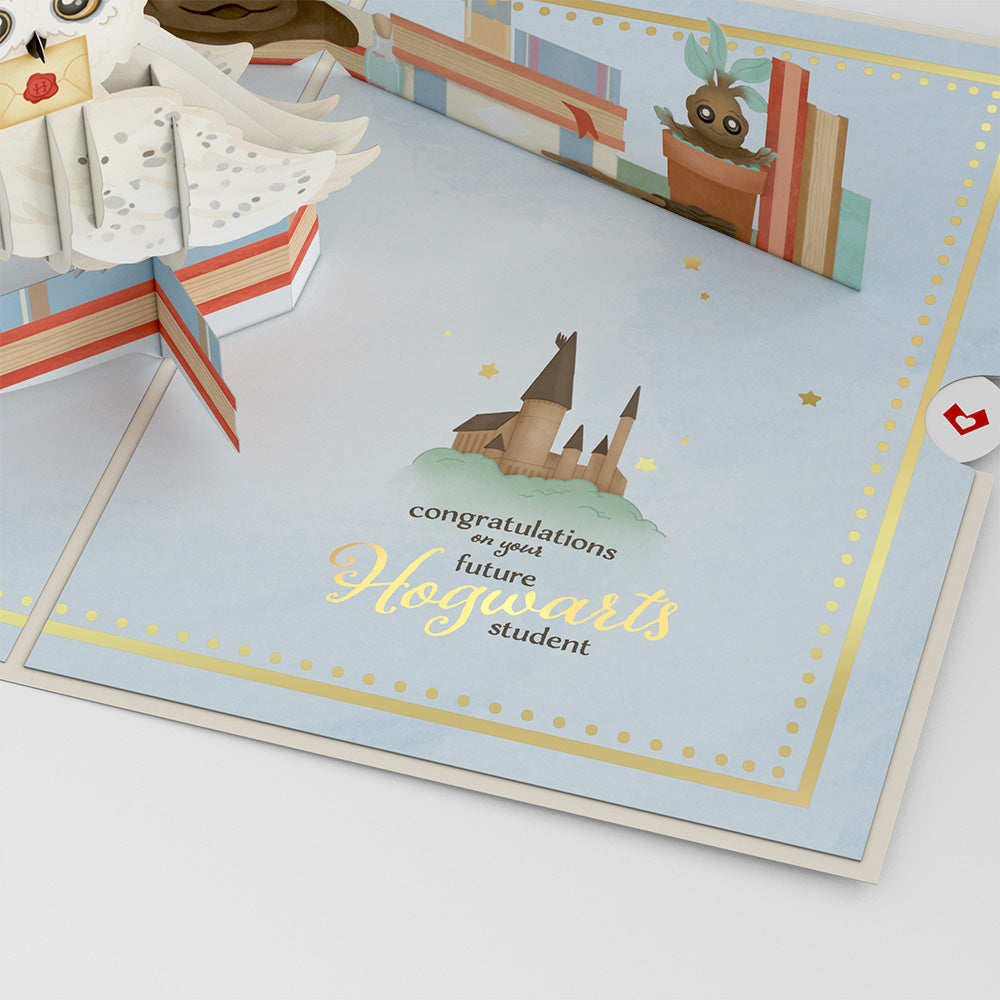 Harry Potter™ Special Delivery Baby Pop-Up Card