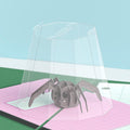 Father's Day Spider Hero Pop-Up Card