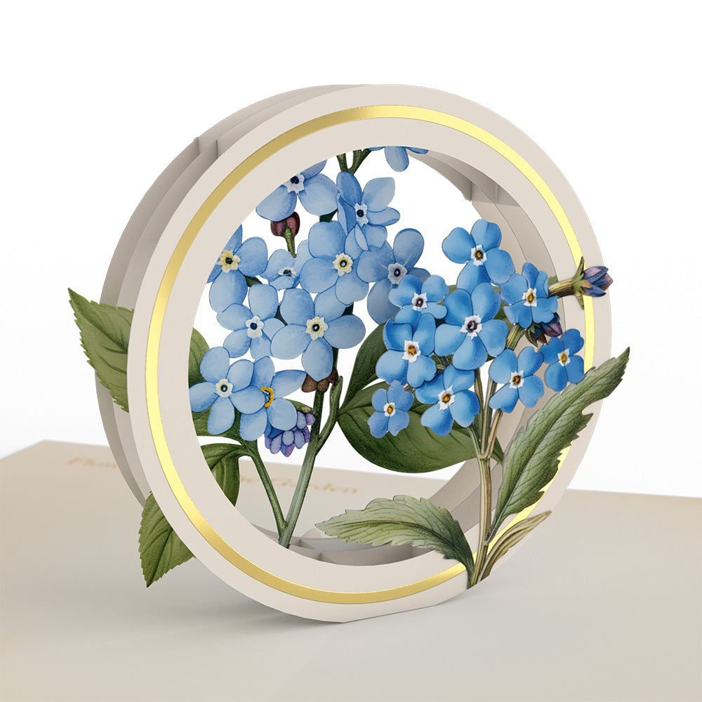 Beautiful Botanicals Box Set (Assorted 12-Pack): Paperpop® Card