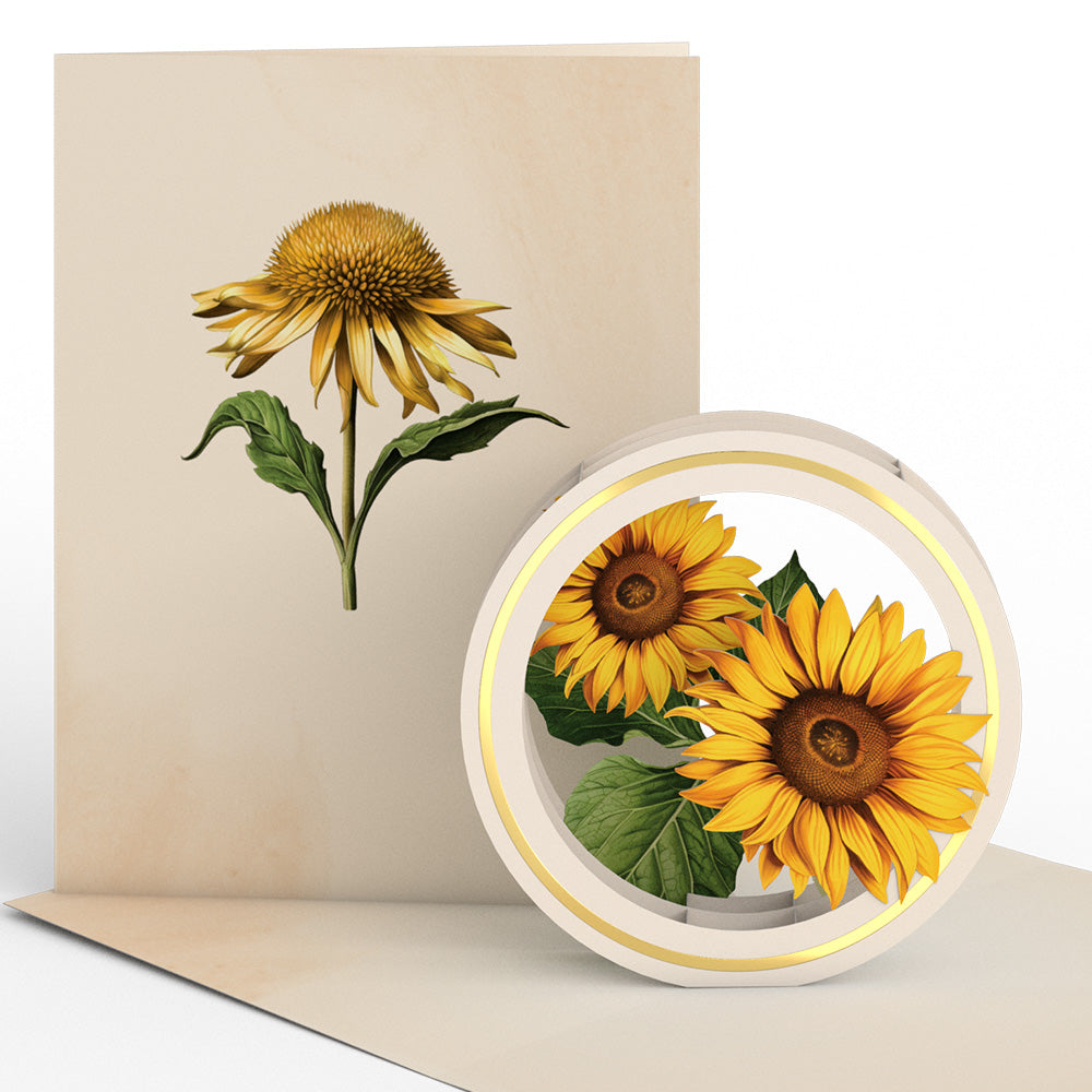 Beautiful Botanicals Box Set (Assorted 12-Pack): Paperpop® Card