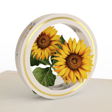 Beautiful Botanicals Box Set (Assorted 12-Pack): Paperpop® Card