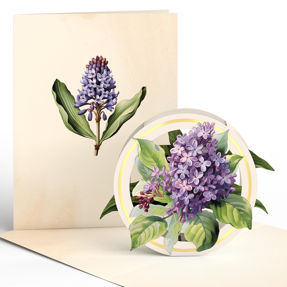 Beautiful Botanicals Box Set (Assorted 12-Pack): Paperpop® Card