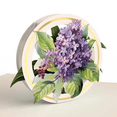 Beautiful Botanicals Box Set (Assorted 12-Pack): Paperpop® Card