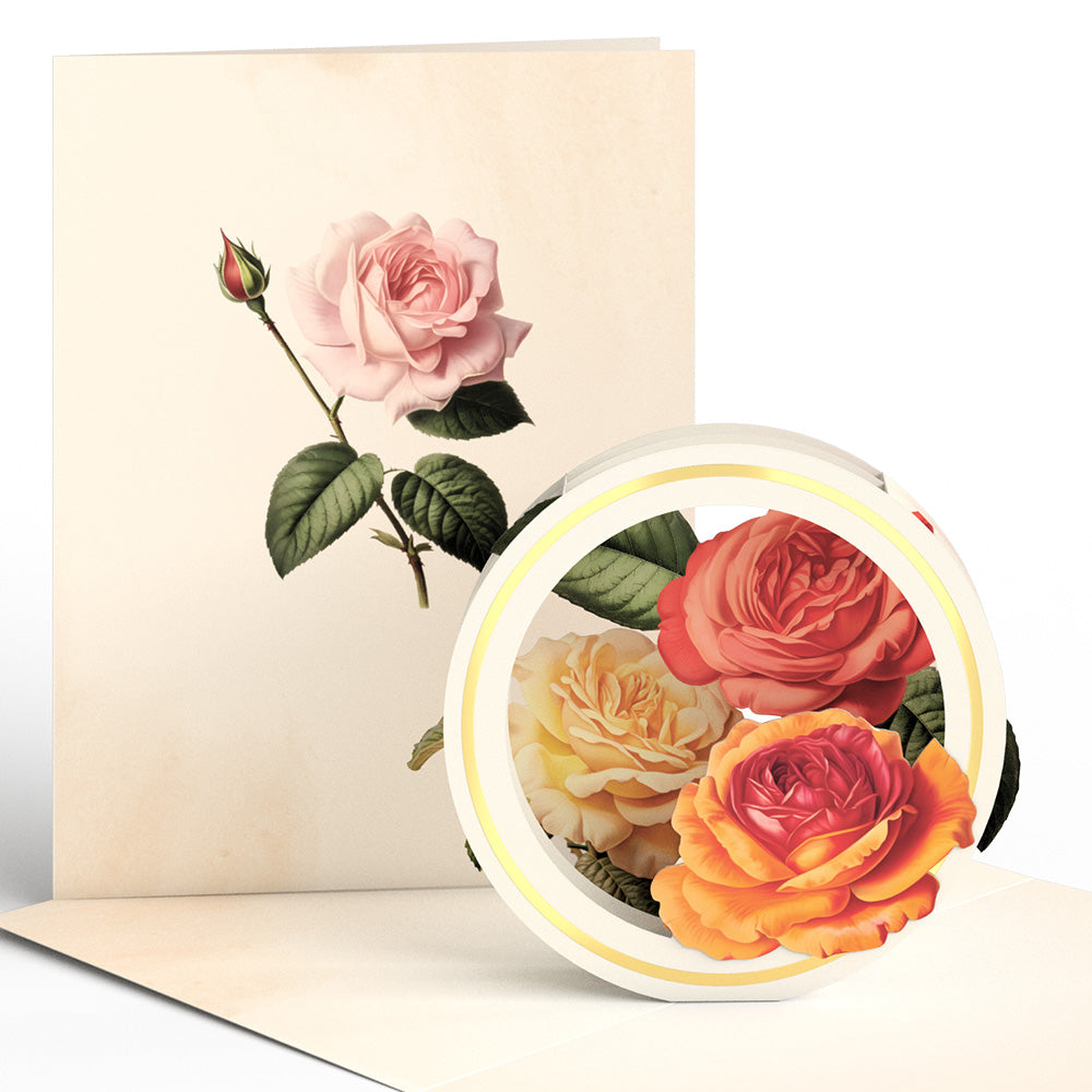 Beautiful Botanicals Box Set (Assorted 12-Pack): Paperpop® Card