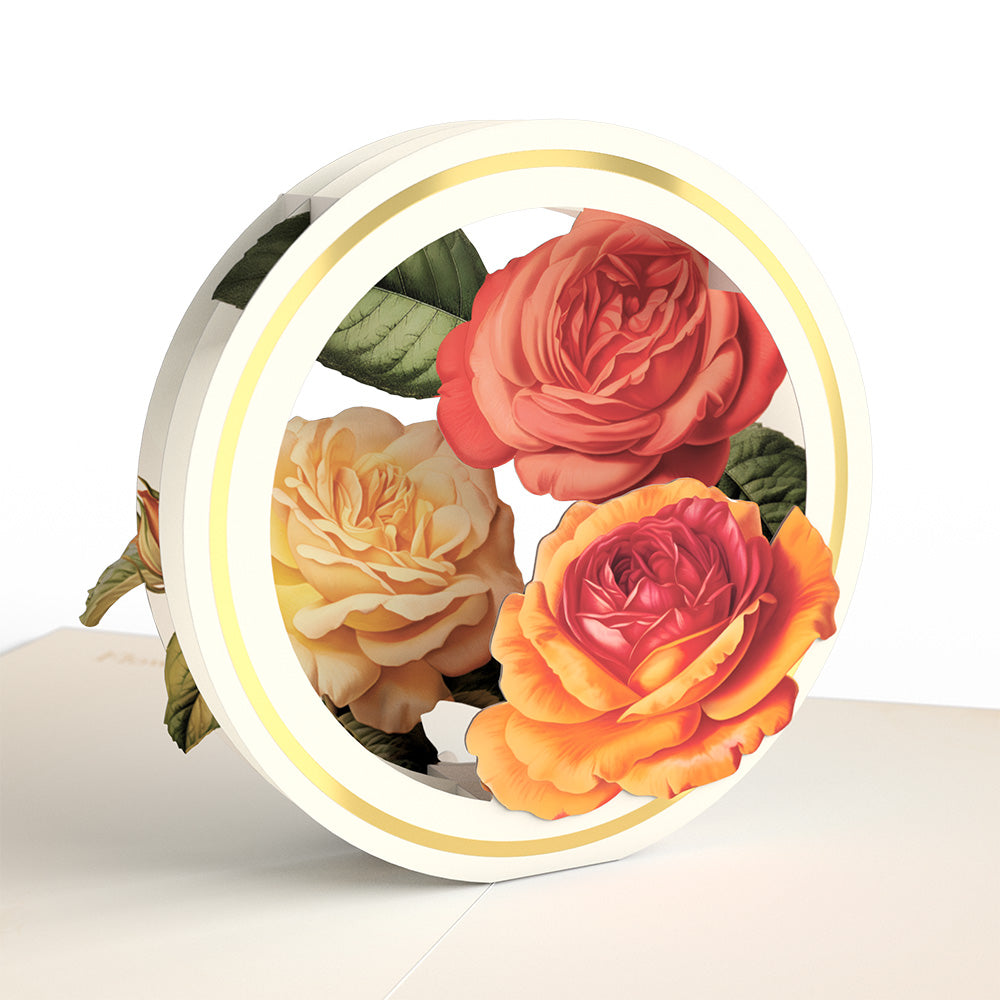 Beautiful Botanicals Box Set (Assorted 12-Pack): Paperpop® Card