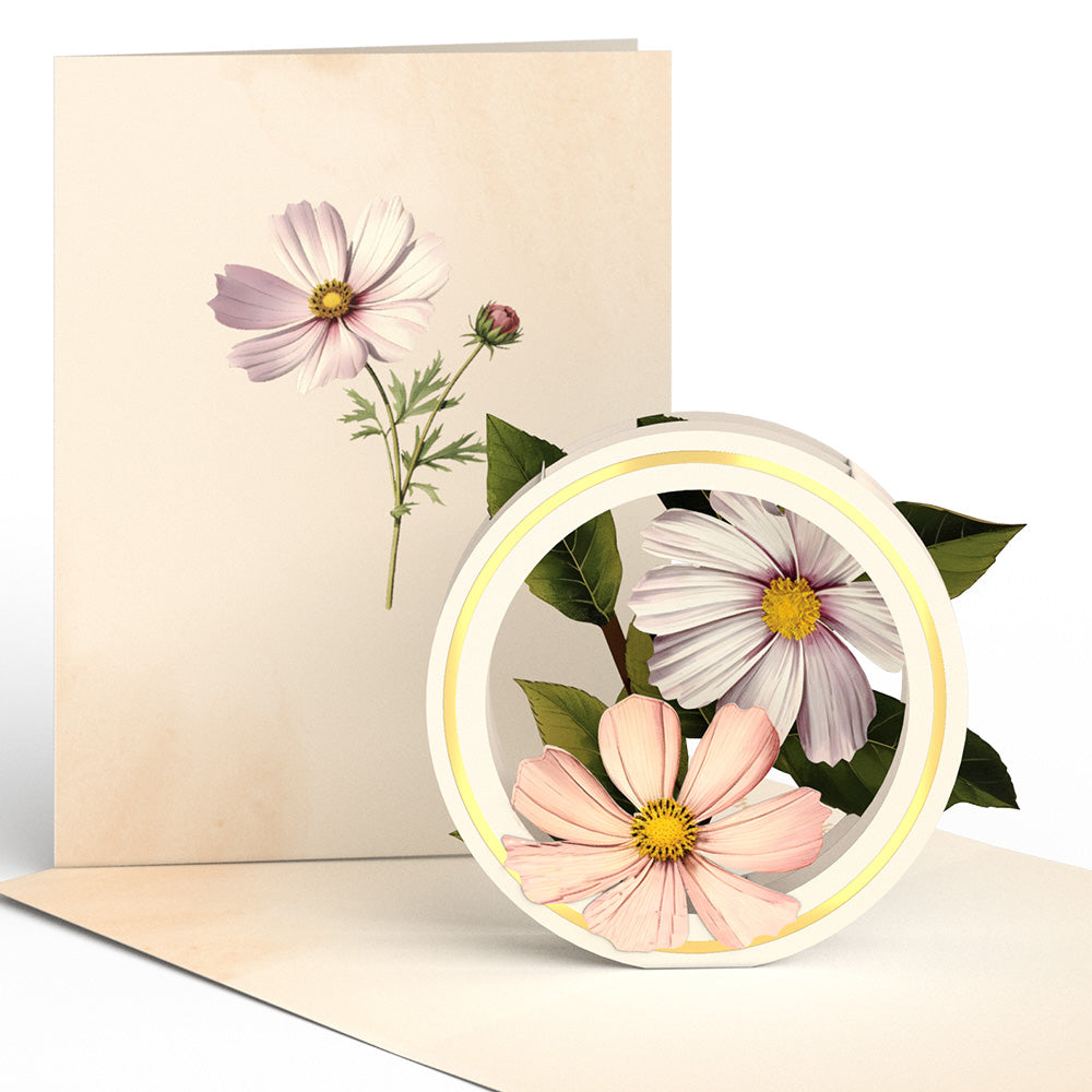 Beautiful Botanicals Box Set (Assorted 12-Pack): Paperpop® Card