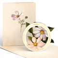 Beautiful Botanicals Box Set (Assorted 12-Pack): Paperpop® Card