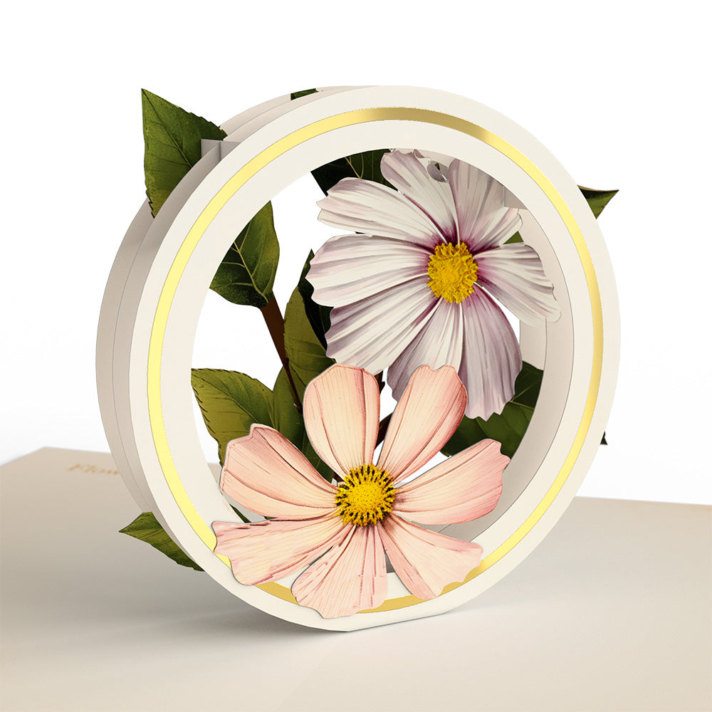 Beautiful Botanicals Box Set (Assorted 12-Pack): Paperpop® Card