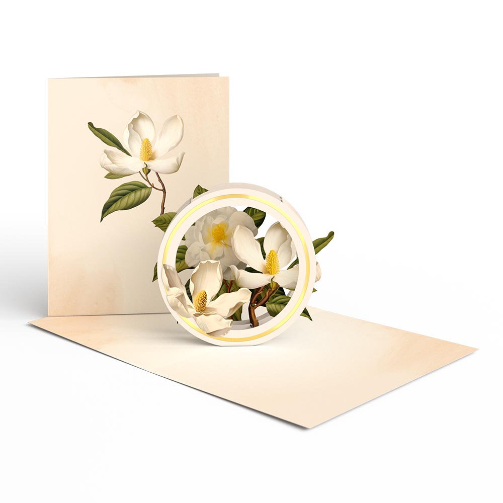 Beautiful Botanicals 12-Pack: Paperpop® Card