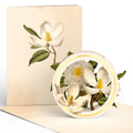 Beautiful Botanicals Box Set (Assorted 12-Pack): Paperpop® Card