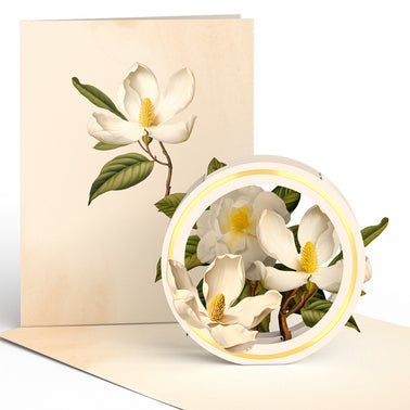 Beautiful Botanicals Box Set (Assorted 12-Pack): Paperpop® Card