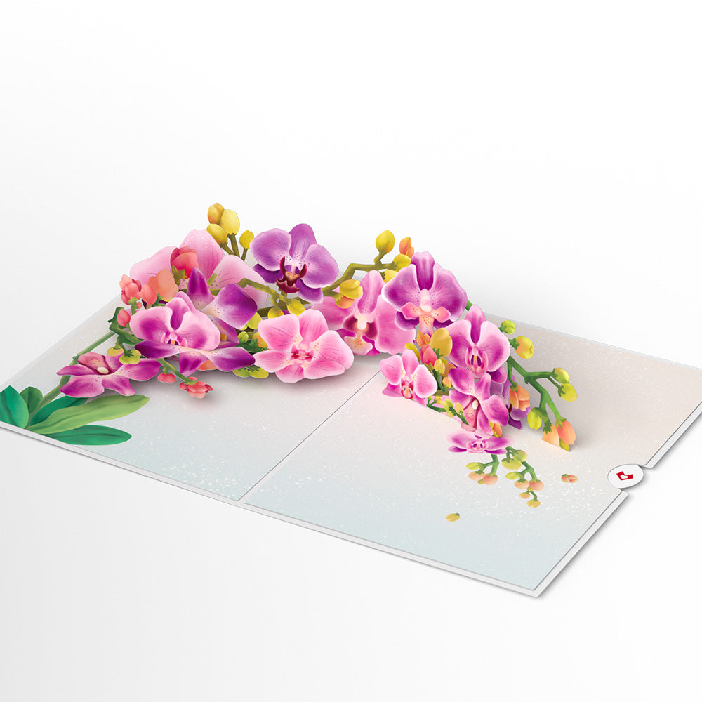 Watercolor Orchid Pop-Up Card