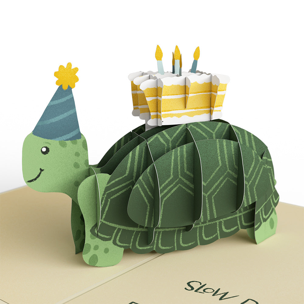 Shell-ebrate 60th Birthday Turtle Pop-Up Card and Sentiment Set