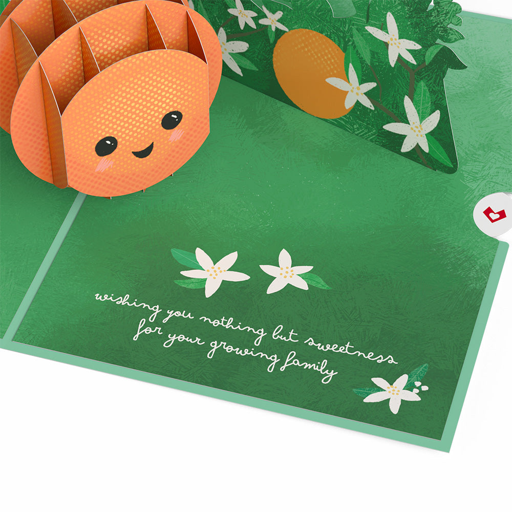 Congratulations On Your Cutie New Baby Pop-Up Card