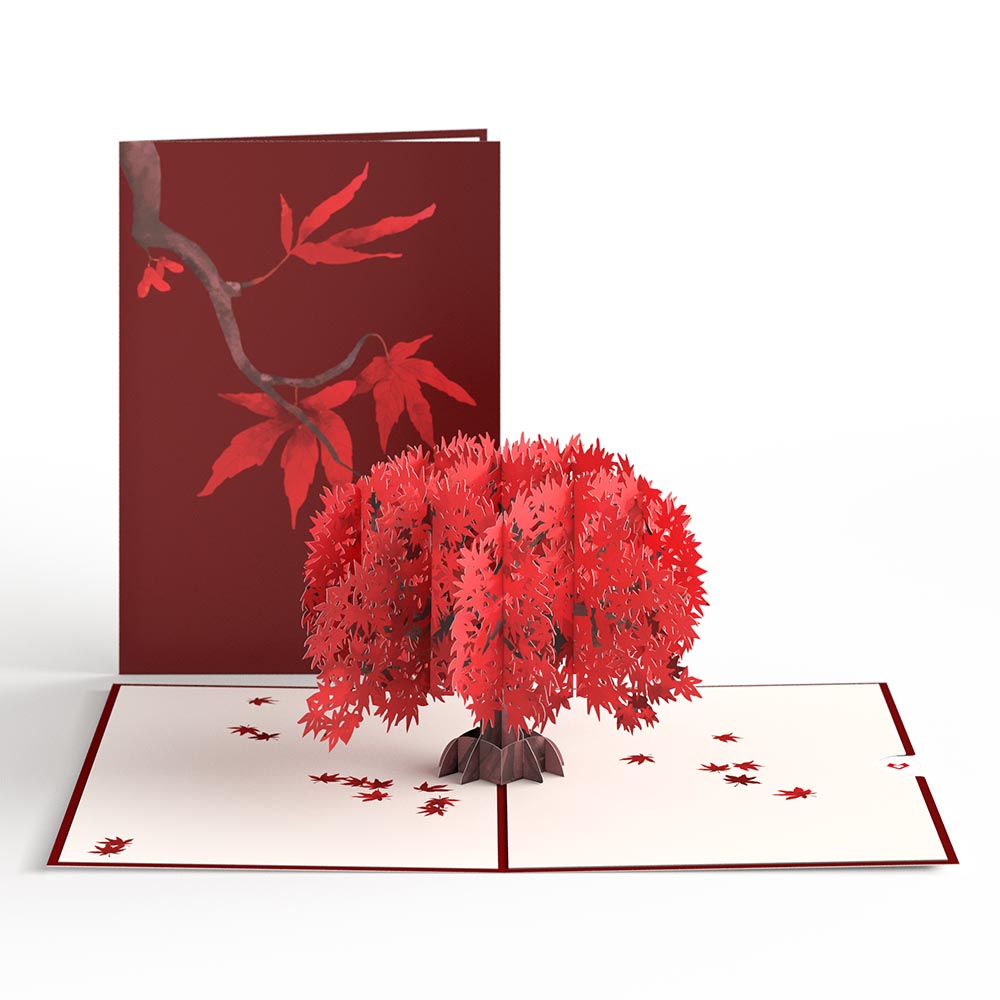 Majestic Japanese Maple Pop-Up Card – Lovepop