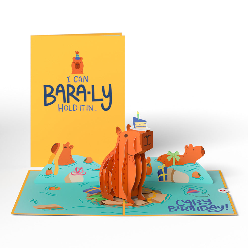 Birthday Animals 3-Pack