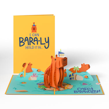 Birthday Animals 3-Pack