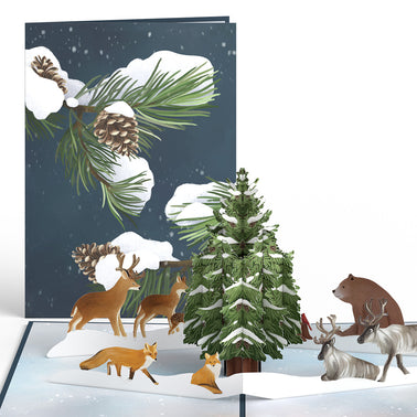 Winter Nature 3-Pack