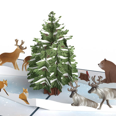 Winter Woodland 5-Pack