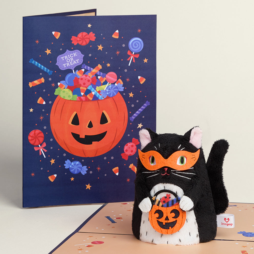 Halloween Cats Flash Sale Pack