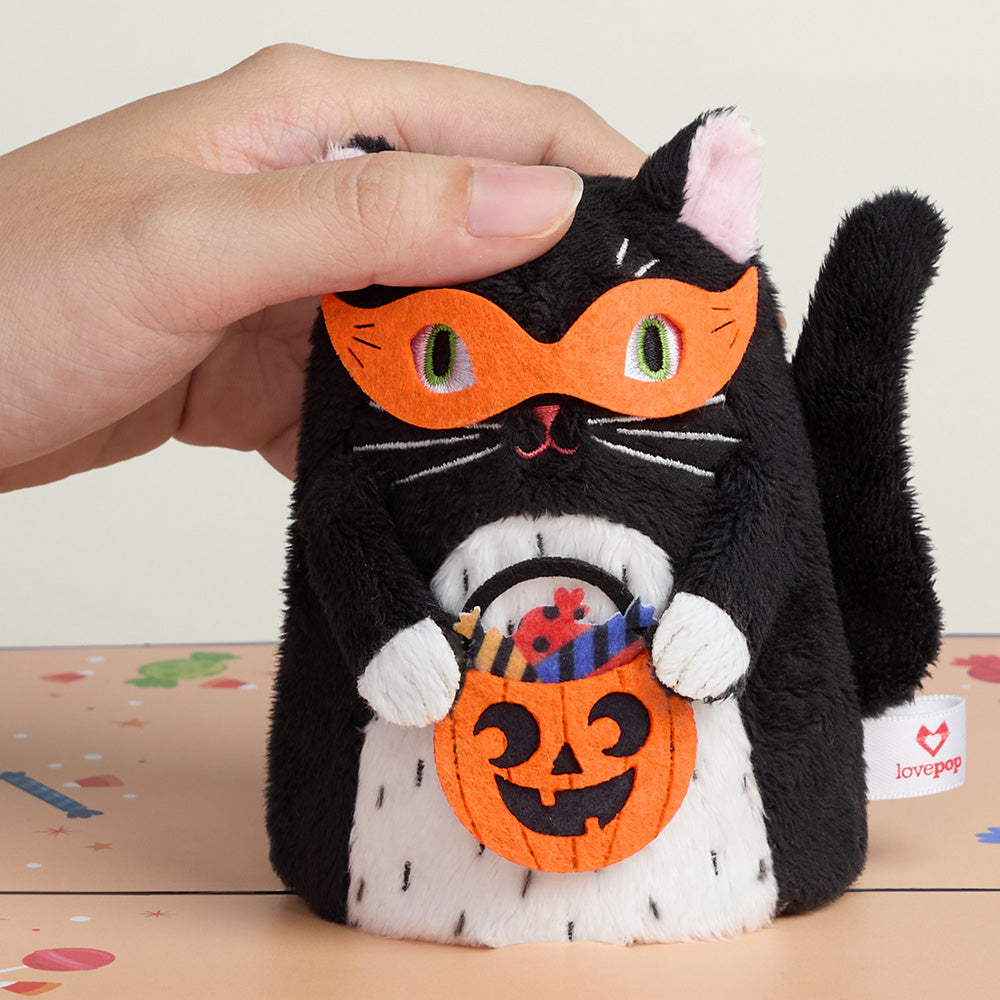 Halloween Cats Flash Sale Pack