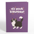 Your Gift Is in the Litterbox Birthday Cat Pop-Up Card