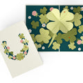 Lucky Shamrock 3-Pack