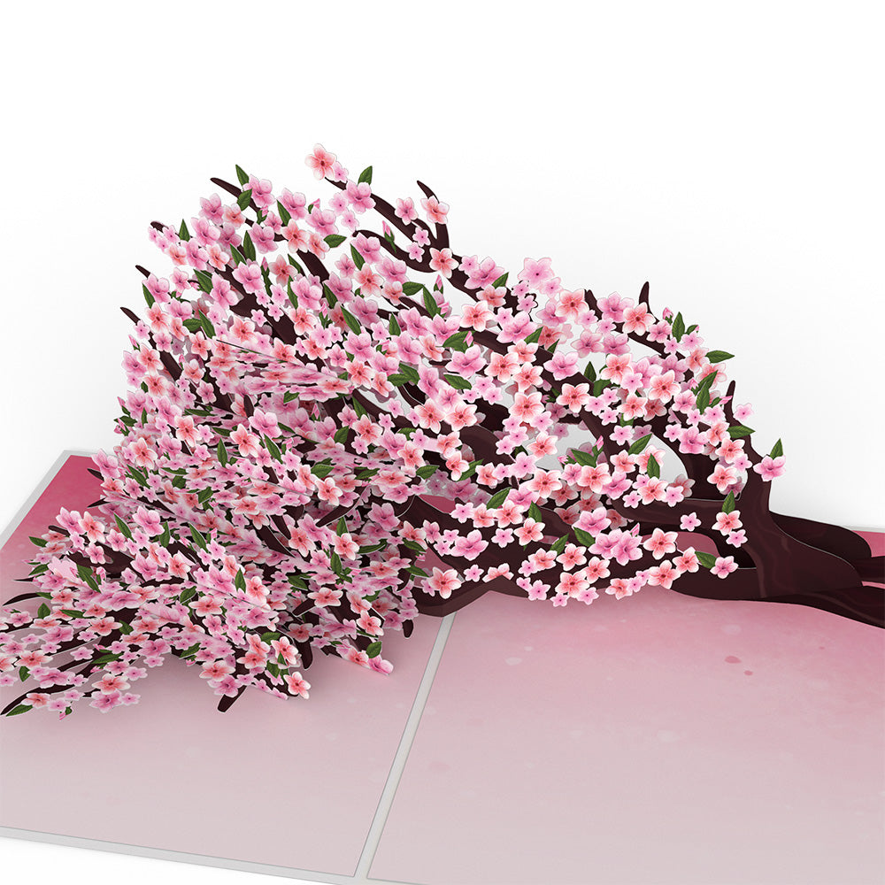 Cherry Blossom Branches in Bloom Valentine Pop-Up Card and Sentiment Set