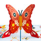 Spread Your Wings Butterfly Pop-Up Card