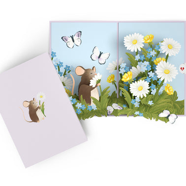 Sweet Spring 3-Pack