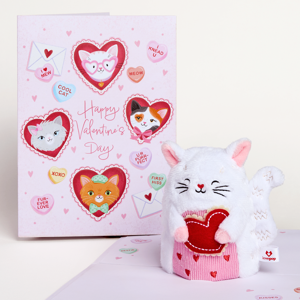 'Happy Valentine's Day' Love Cat Plushpop Card & Bouquet Bundle