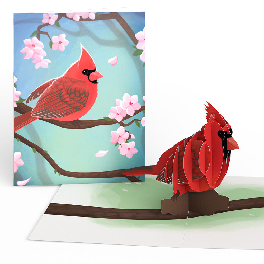 Spring Birds Box Set (Assorted 12-Pack): Paperpop® Card