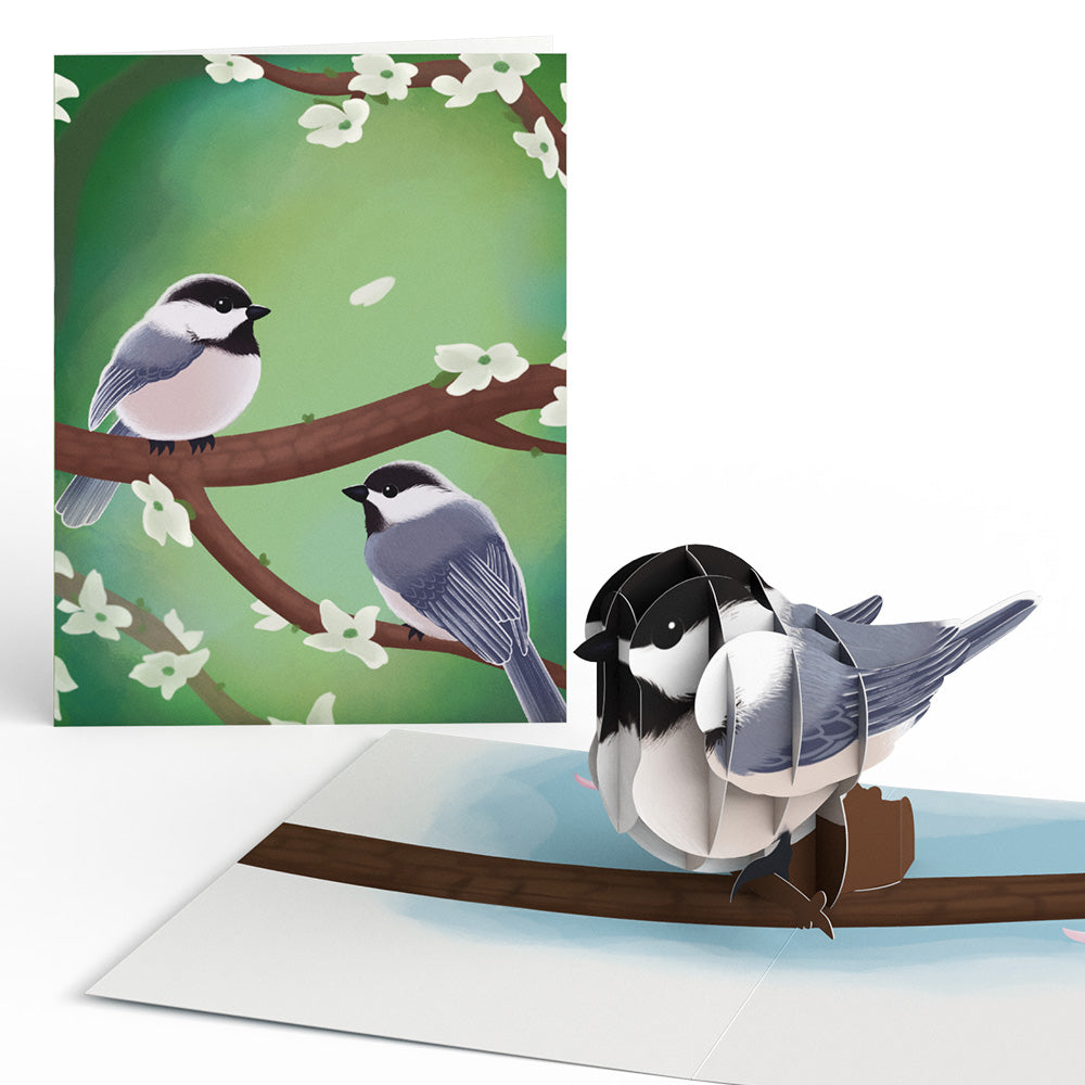 Spring Birds Box Set (Assorted 12-Pack): Paperpop® Card