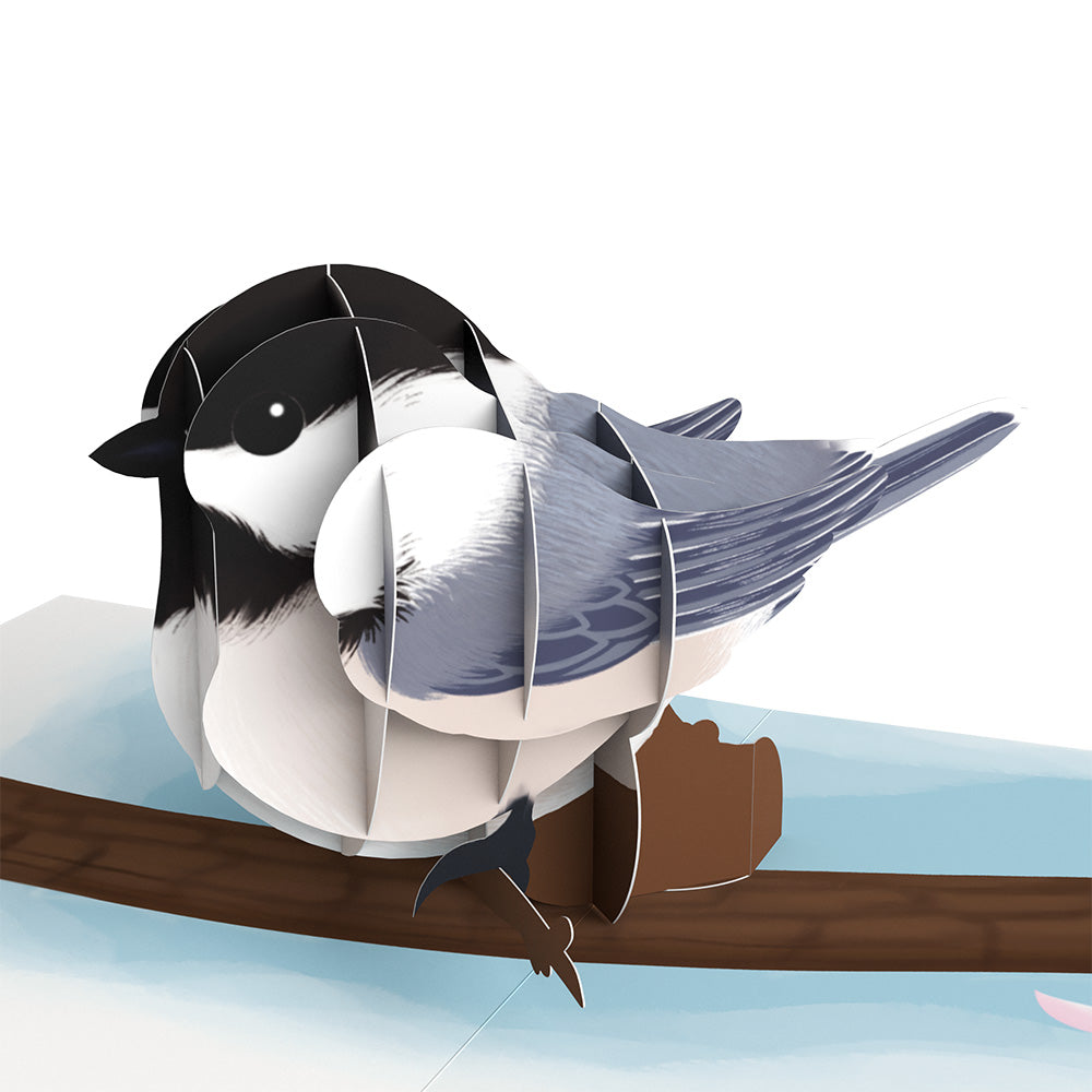 Spring Birds Box Set (Assorted 12-Pack): Paperpop® Card