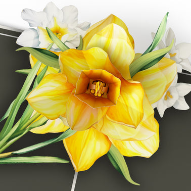 Born to Bloom: A Year of Birth Month Flowers 12-Pack
