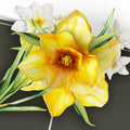 Born to Bloom: March Birth Month Flowers Pop-Up Card