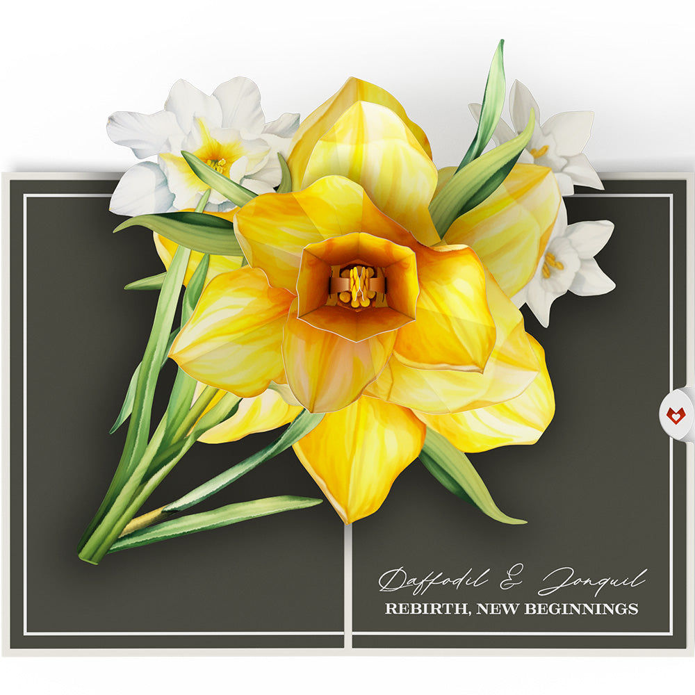 Born to Bloom: March Birth Month Flowers Pop-Up Card