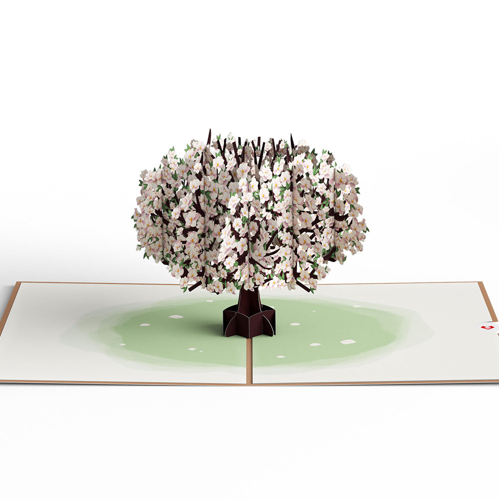 Pink Magnolia Tree Pop-Up Card