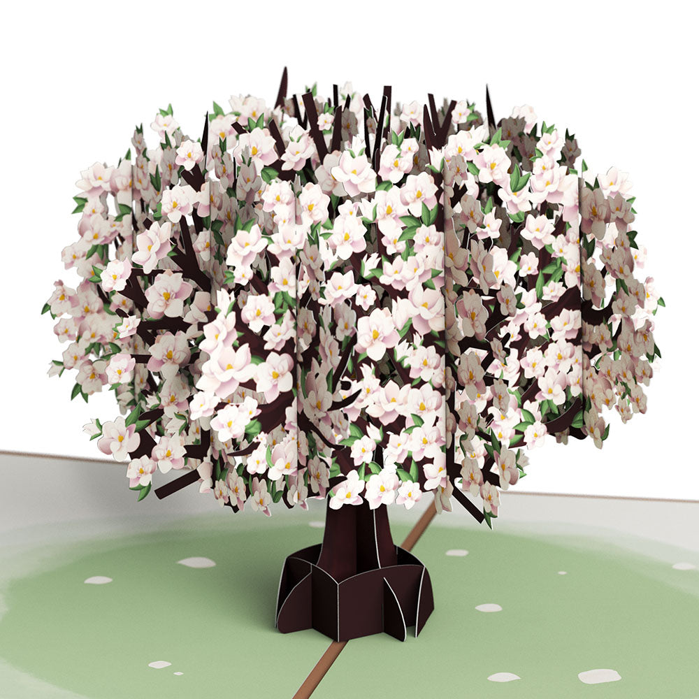 Pink Magnolia Tree Thinking of You Pop-Up Card and Sentiment Set