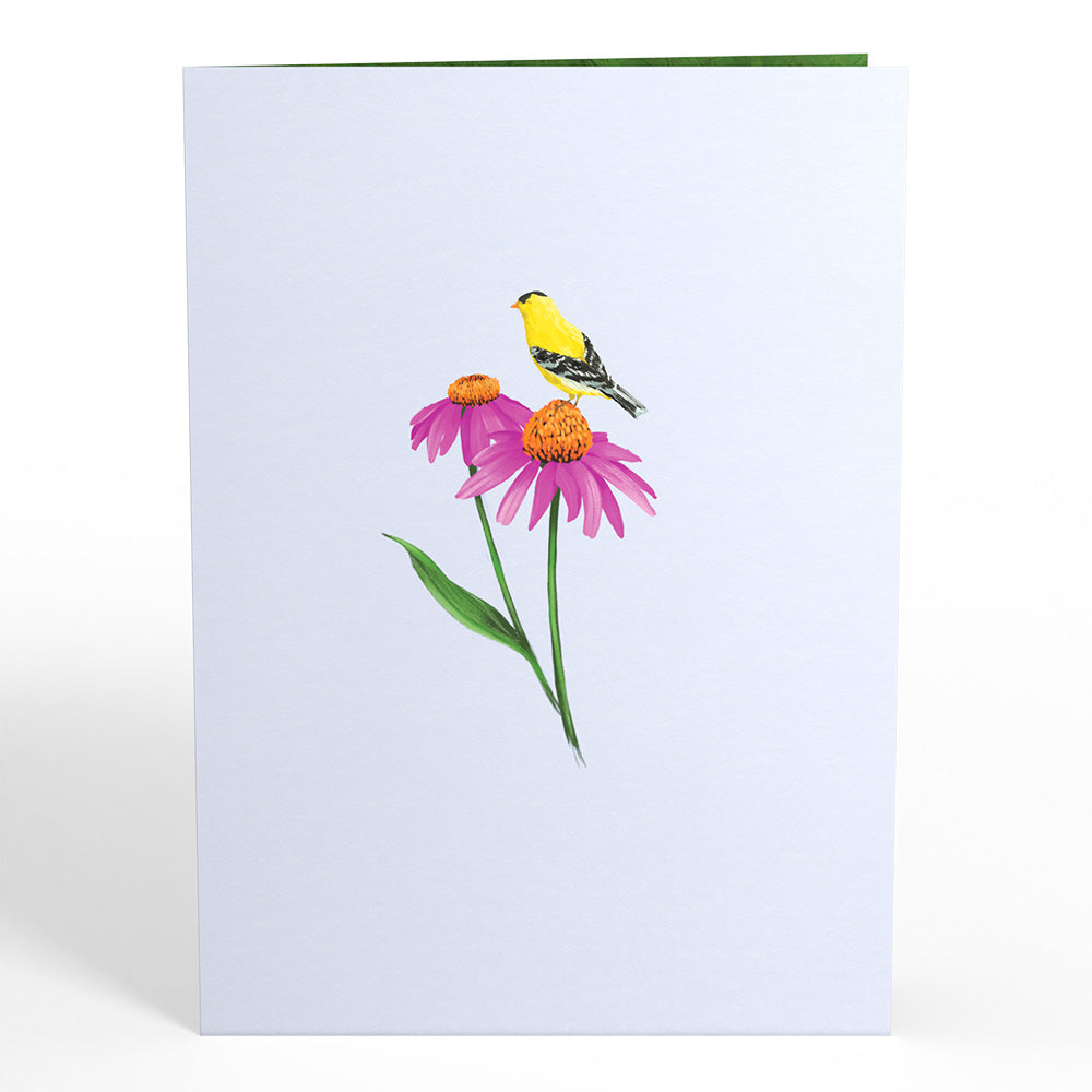 Summer Welcome Pop-Up Card